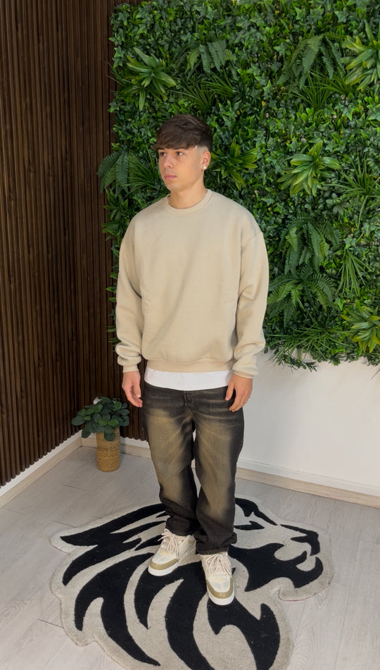 FELPA GIROCOLLO BEIGE