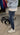 JEANS BLU BERLIN