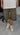 JORTS BROWN